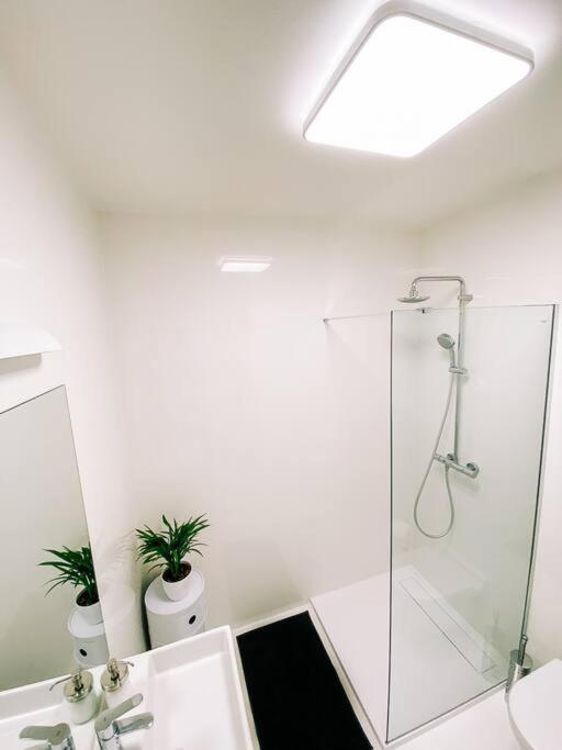 ברטיסלאבה New Studio In Quiet Part Of The City Center מראה חיצוני תמונה